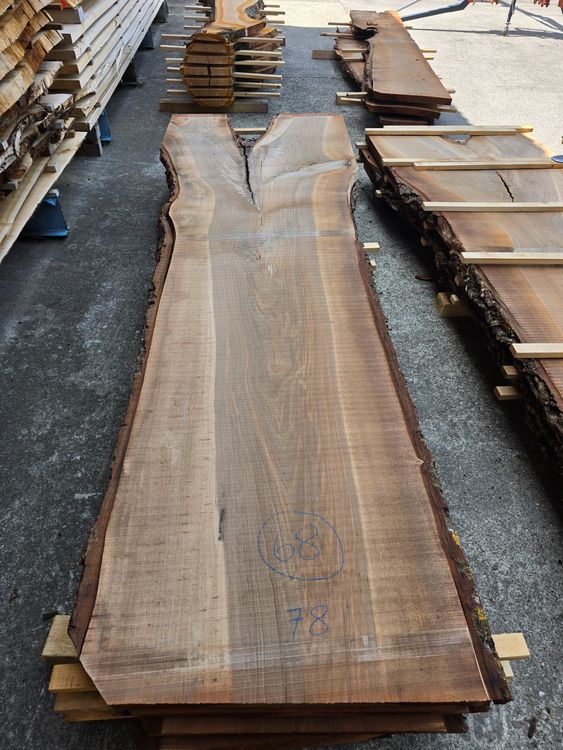 Articoli in legno: Nussbaumbrett Nr.68 – Nuovo (secondo la descrizione) da Lützelflüh-Goldb venduto da ch.waelchli-holz.ch 1