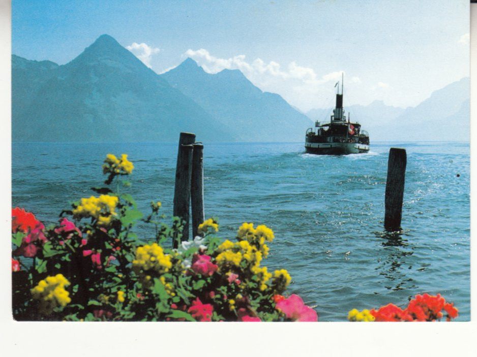 Cartes postales: Vierwaldstättersee ca. 1980 – D'occasion à Bürglen TG par StampGraf