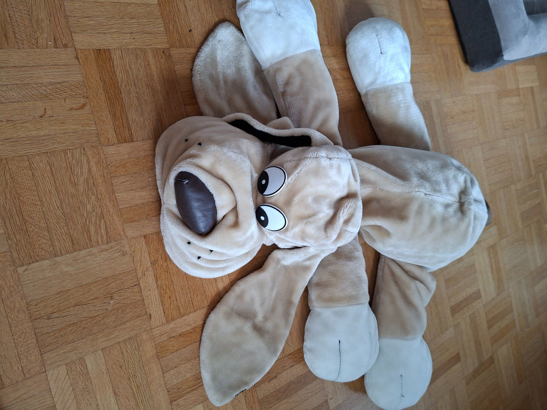 Jouets: Verkaufe einen Stoffhund – D'occasion à Günsberg par ste_qq59 1