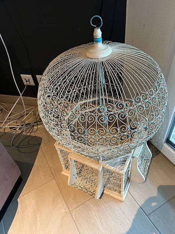 Cage Oiseaux Occasion Particuliernull
