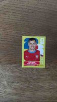 Panini Sammelbild "Tomáss Holeš" guter Zustand