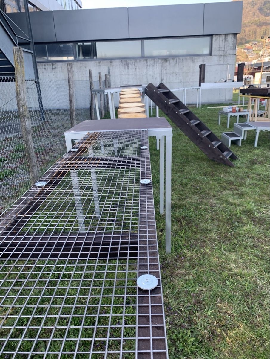 Giocattoli: Hunde-Sport-Geschicklichkeitsprcours – Usato da Balsthal venduto da Almendra 4