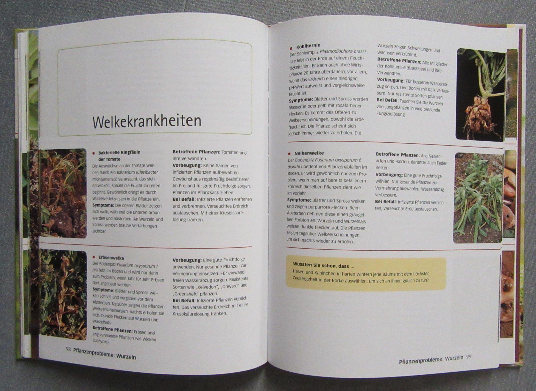 Libri: Der perfekte Pflanzendoktor - von Steven Bradley – Usato da Auenstein venduto da Padabimbim 8