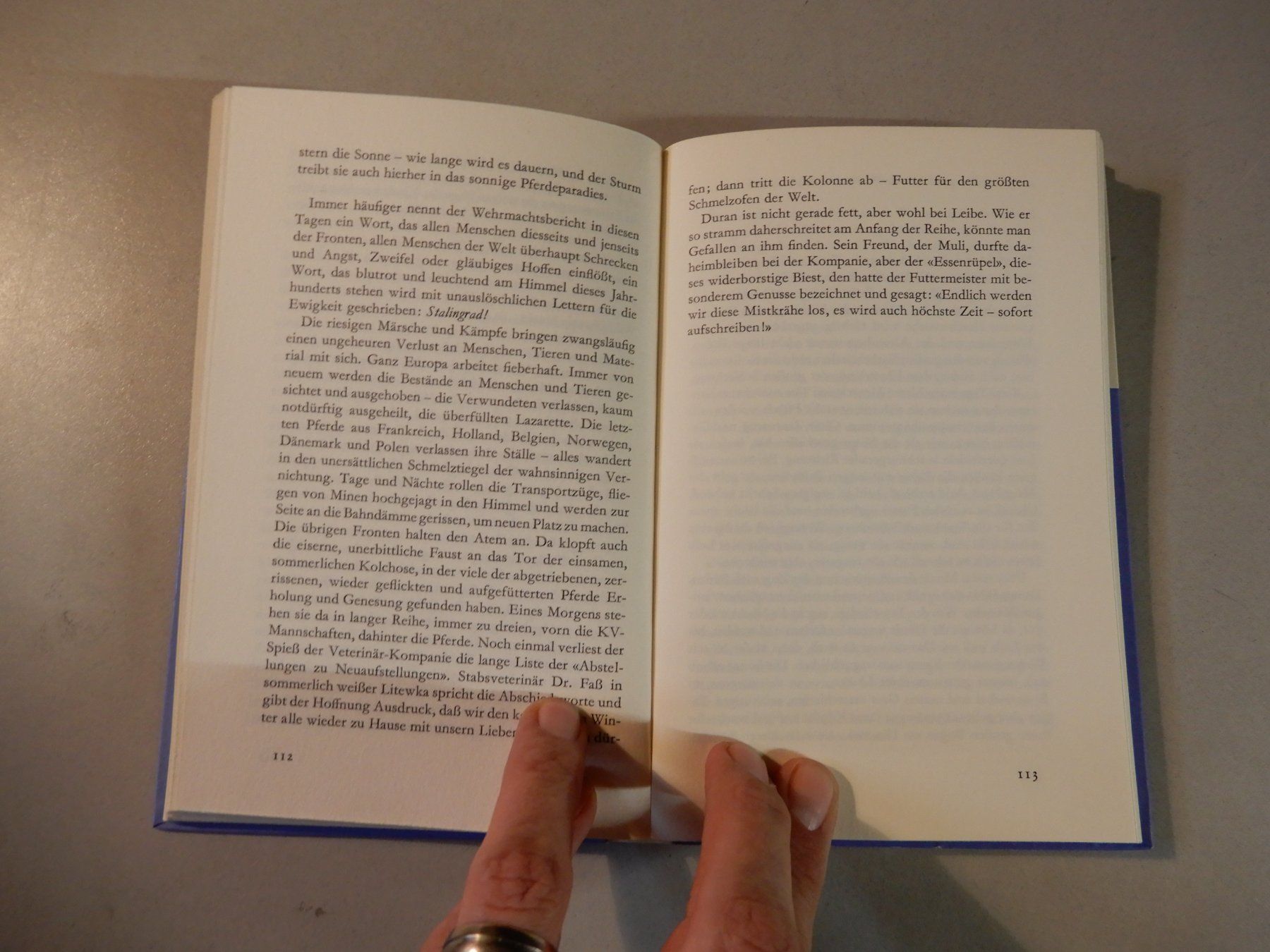Libri: Gustav Otto Dix - Duran: Ein Pferd unterwegs – Usato da Erstfeld venduto da Mario_boe0 6