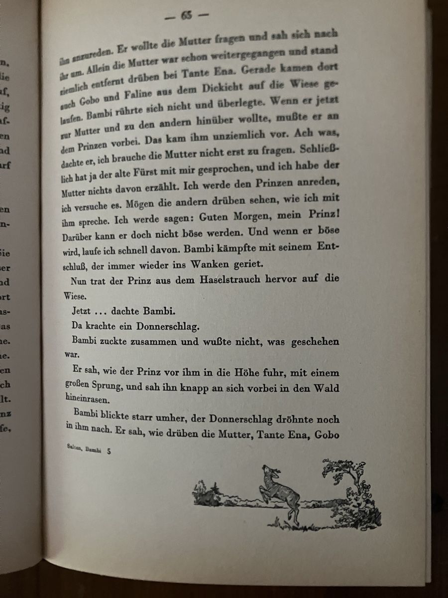 Bücher: Bambi das Buch – Gebraucht aus Lyss von Punktum01 5