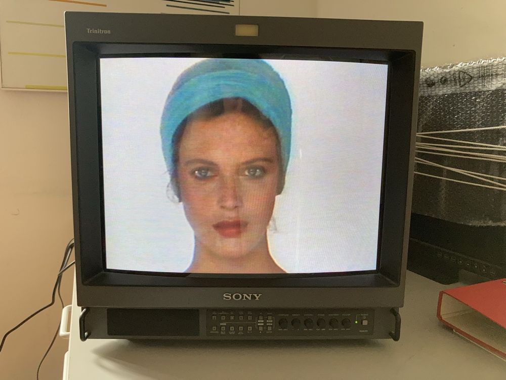 Sony Production Video Monitor Pvm-20