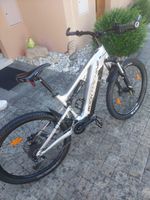 Schönes gepflegtes E- Bike