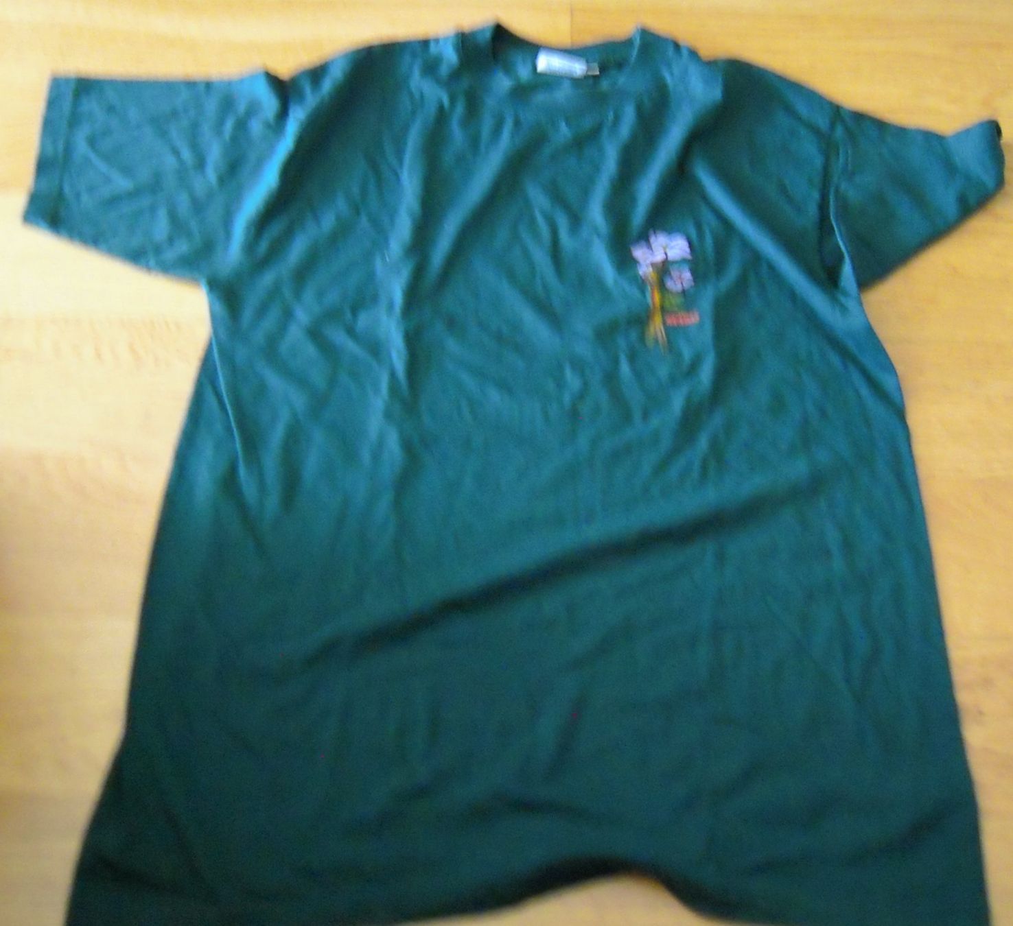 T-shirt: Shirt  gr  L – Usato da Heimberg venduto da Rockenrol