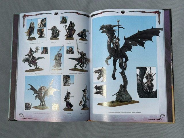 Libri: Warhammer - Armeebuch Dunkelelfen - 8. Edition – Nuovo (secondo la descrizione) da Biberstein venduto da Lou13lou 1