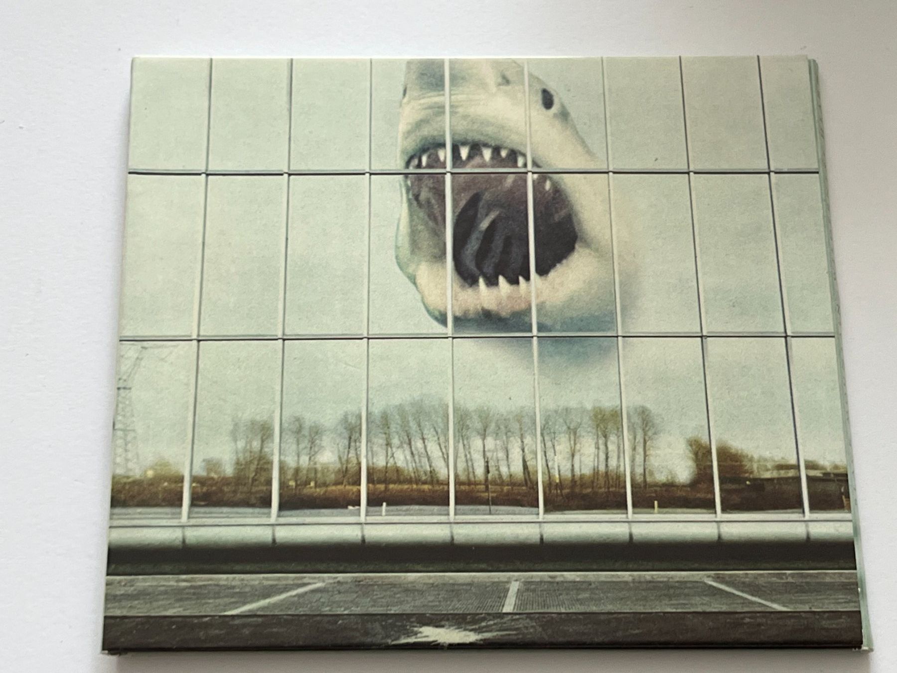 CD: BLACK MOUNTAIN - WILDERNESS HEART – Usato da Lohn-Ammannsegg venduto da Gladiator