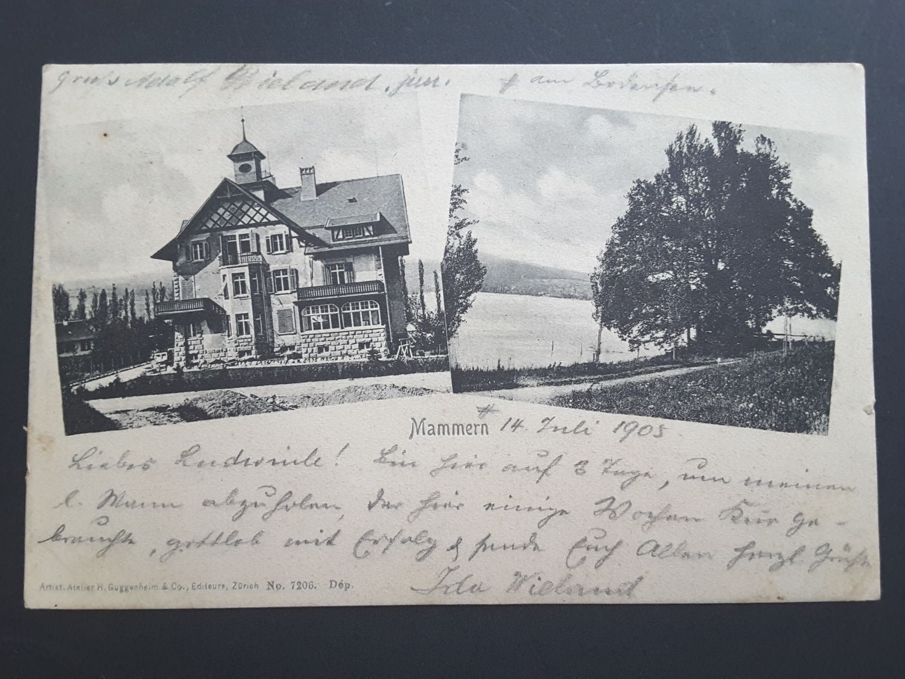 Cartoline postali: AK Mammern TG 1905 – Usato da Reichenburg venduto da Pipo-67