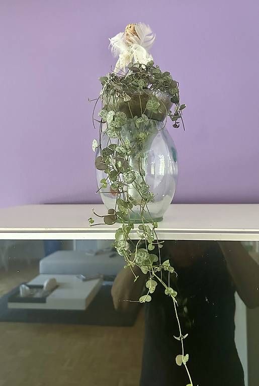 Tutte le decorazioni: Bepflanzung im Flaschenhals – Usato da Frauenfeld venduto da Irene.Schuppli 3