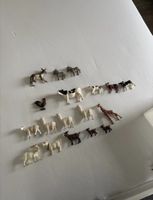 Verschiedene Schleichtiere ohne Mängel
