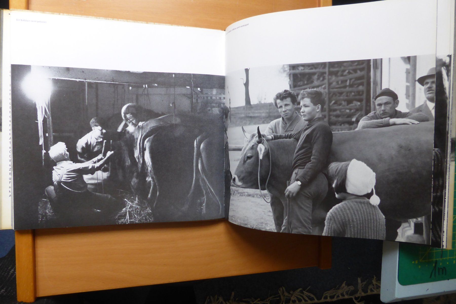 Libri: Hans Baumgartner - Thurgau - 180 Fotographien – Usato da Brunnadern venduto da lesezirkel 2
