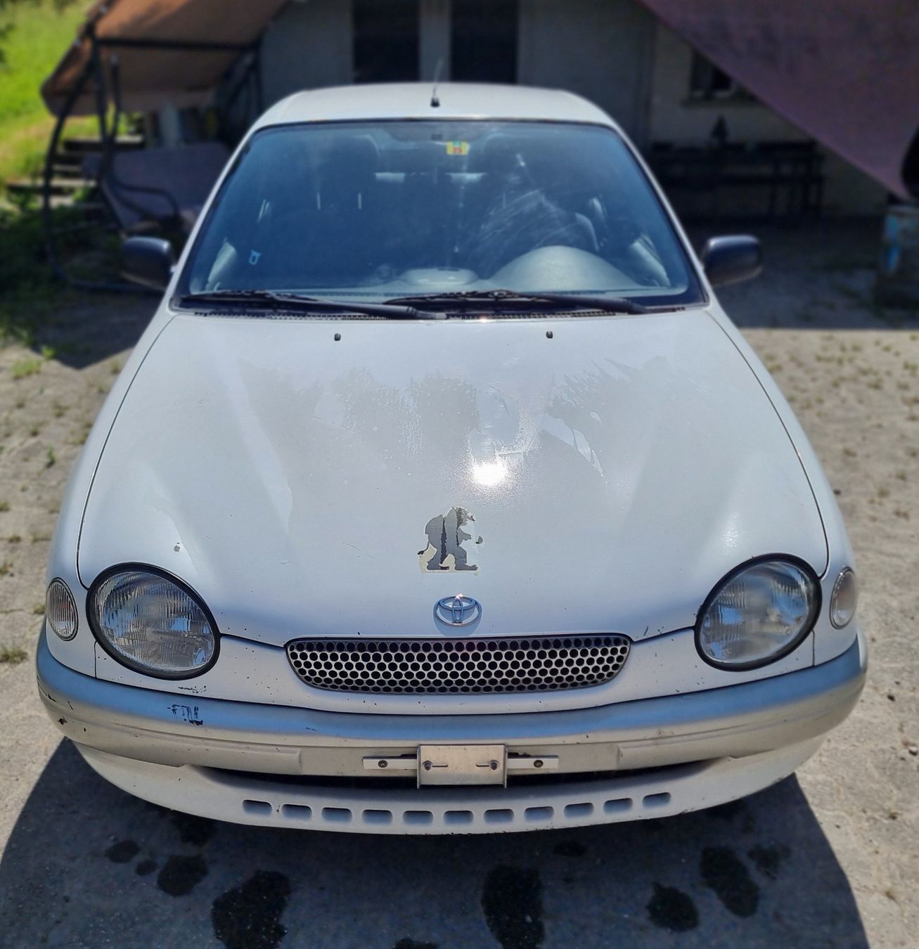 Toyota Automobili: Toyota Corolla 1600 LB – Usato da Knonau venduto da yvo_py8l