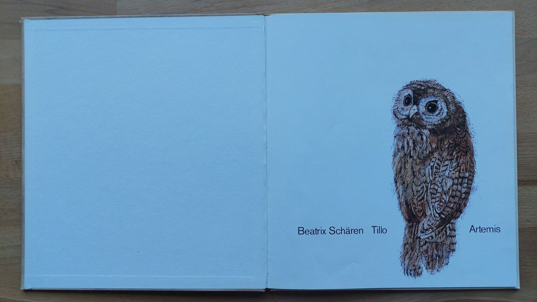 Libri: Tillo - Beatrix Schären (1972) – Usato da Obfelden venduto da Foto_Bild_Kunst_Buch 1