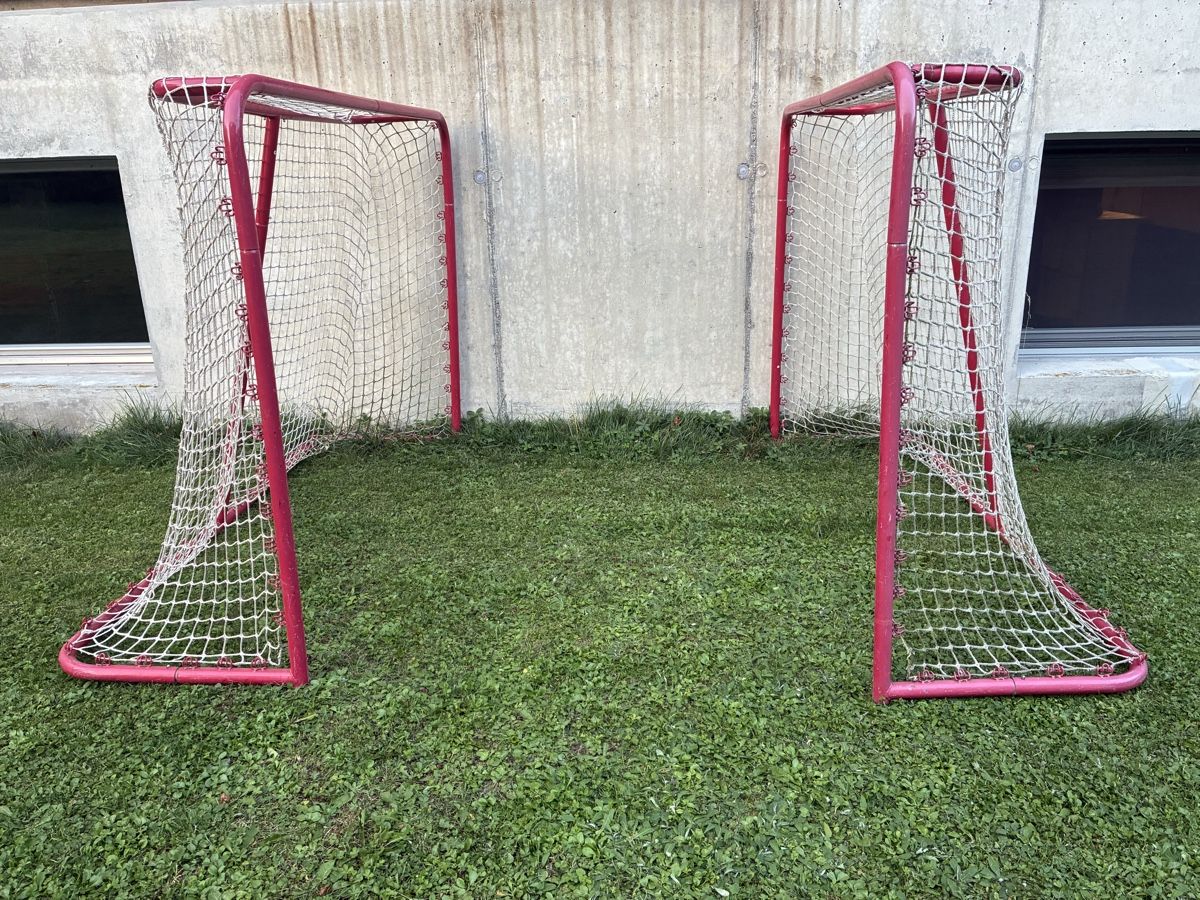 Giochi: Unihockeytore – Usato da Bern venduto da Noatheastronaut 2