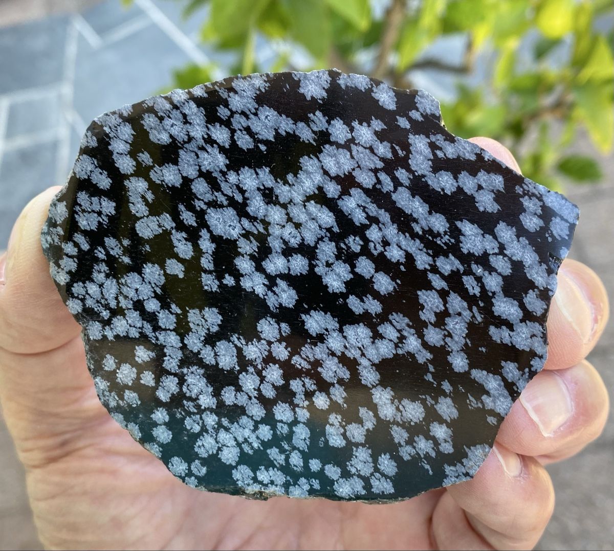 Minéraux & Lithothérapie: Schöne Schneeflockenobsidian Platte  – D'occasion à Selzach par 321compac 3