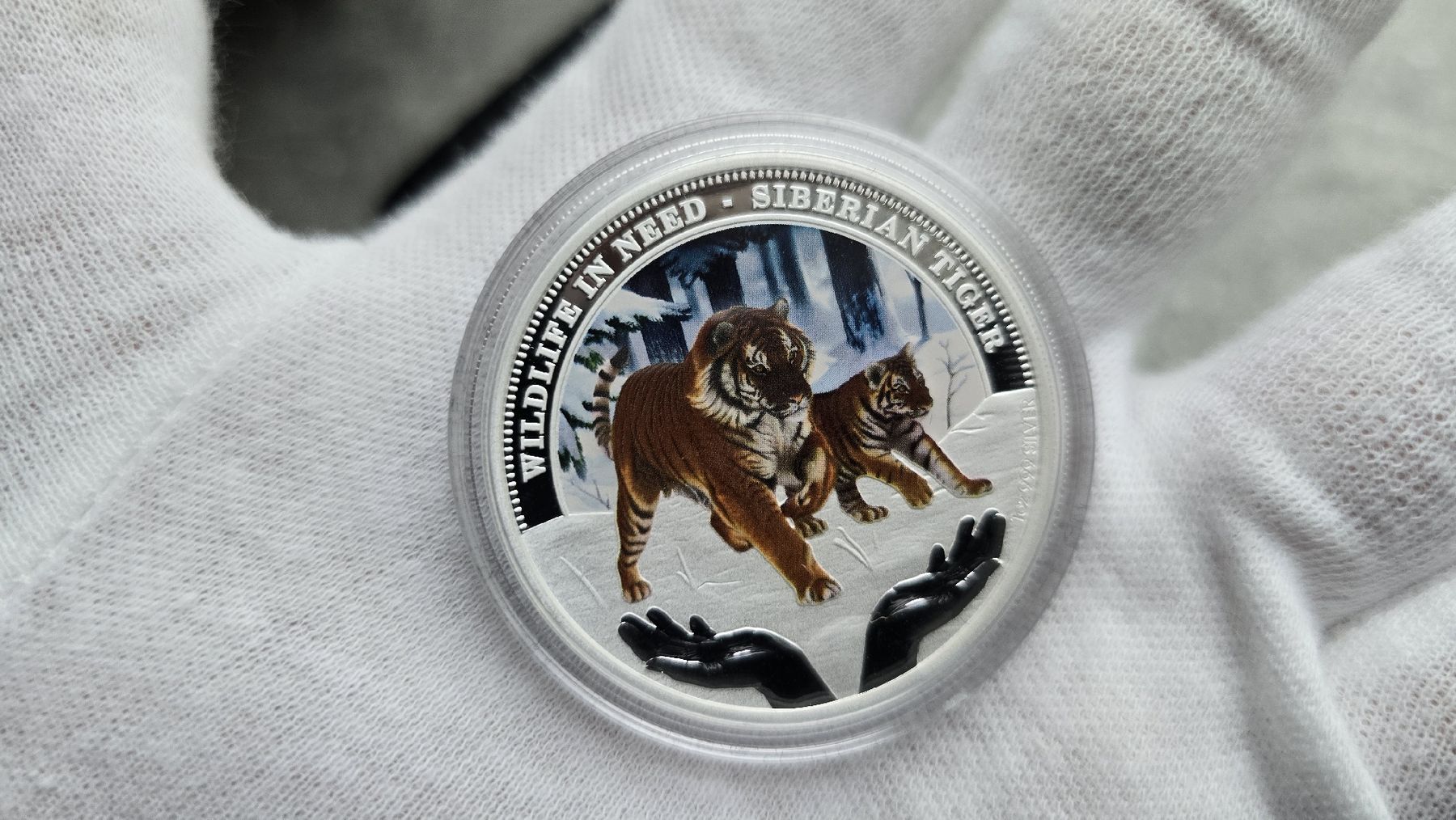 Alle Münzen: 1 oz Silber Tiger Wildlife in Need Proof Farbe 2012 – Neu (gemäss Beschreibung) aus Petit-Lancy von SilverCoinCoin