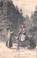 Champéry VS / 1901 Paysannes de Champéry // Pferd Milch