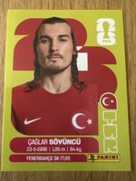 Carte panini 2026