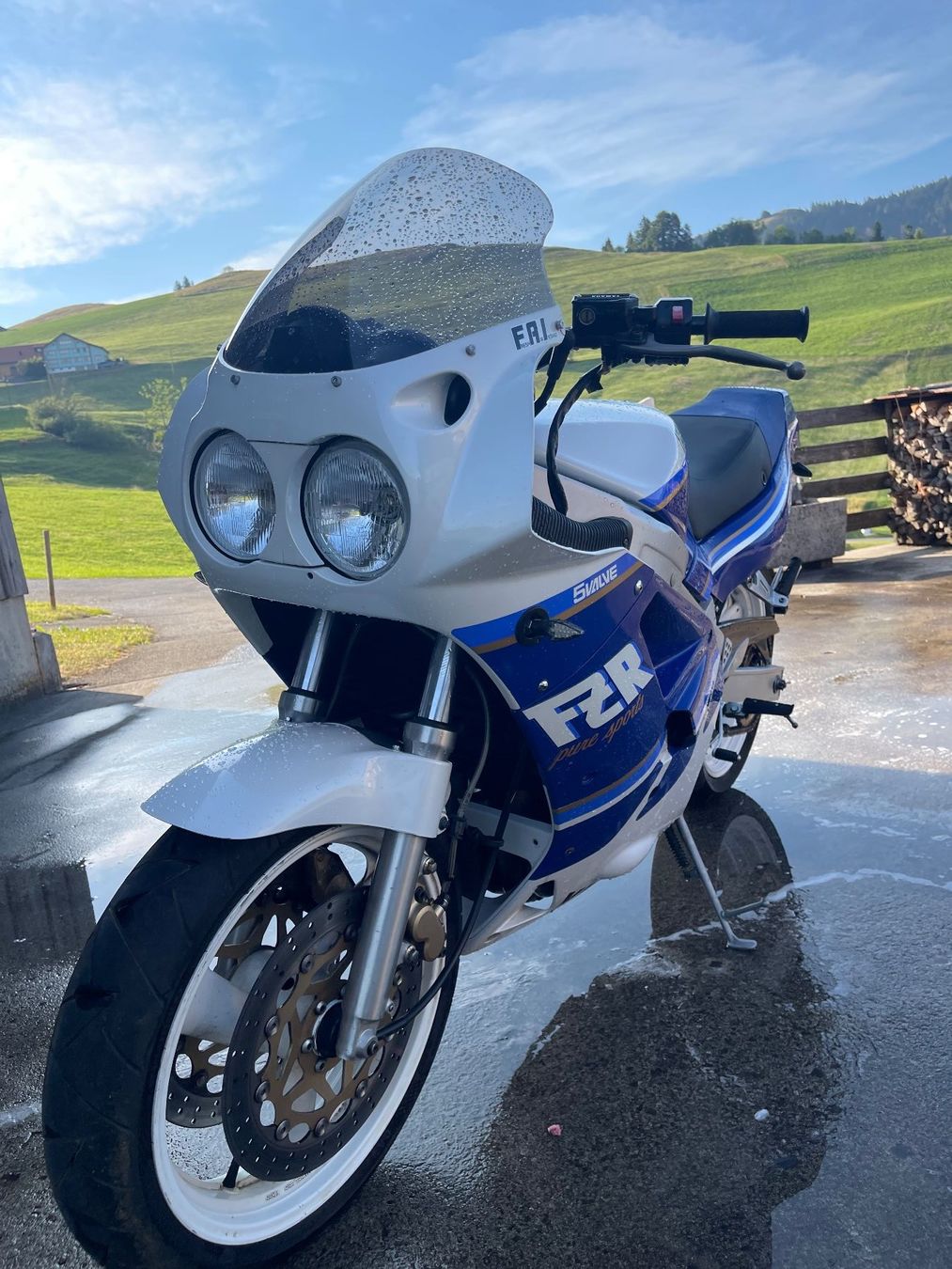 Yamaha Strada: Yamaha FZR 1000 Genesis – Usato da Gonten venduto da eBuddy22 3