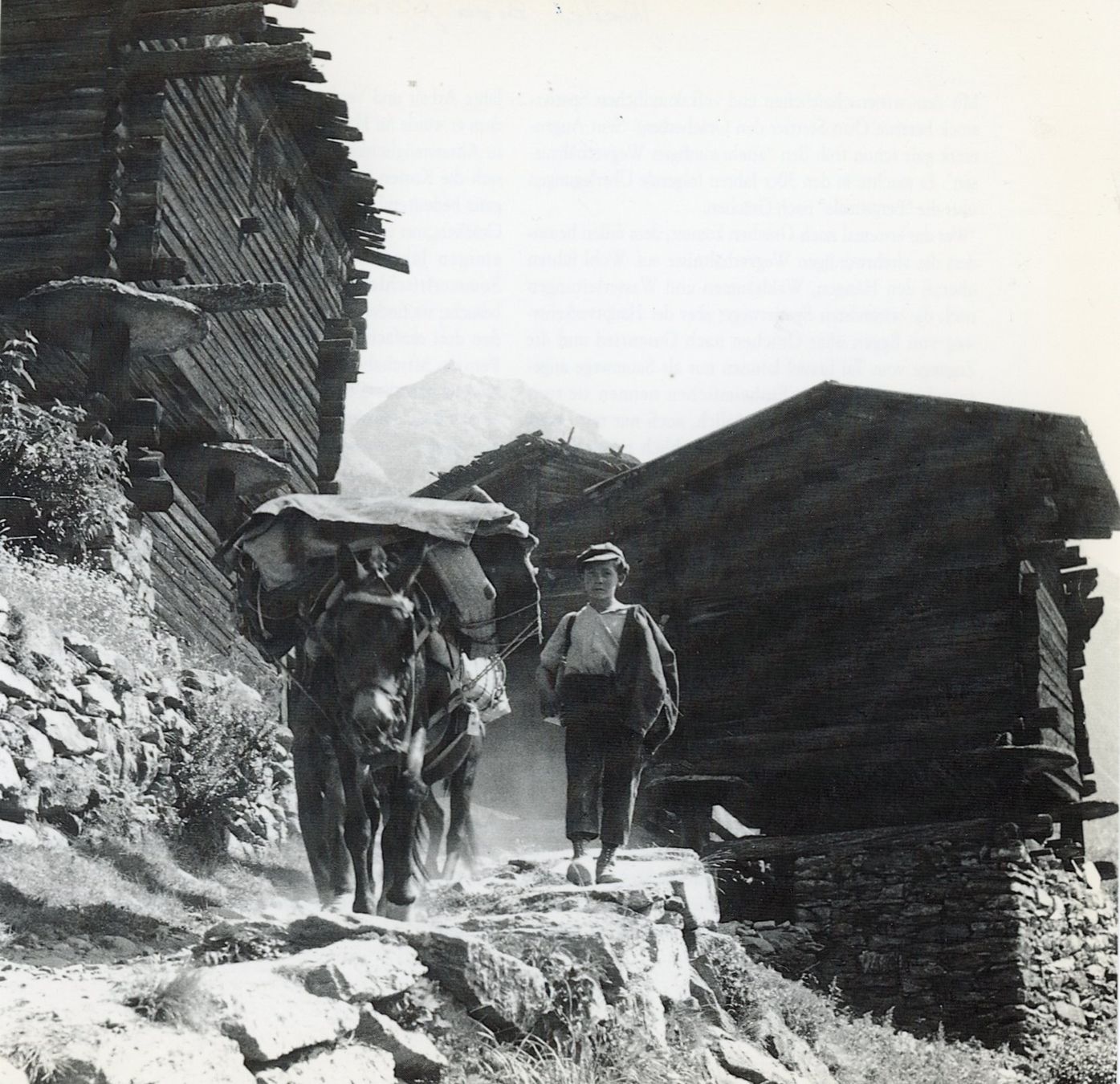 Cartoline postali: Grächen  VS  -   Weiler BINA  /   Maultier - Transport – Usato da Brig venduto da Valcards54