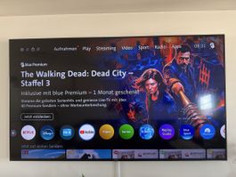 SONY 85 Zoll TV