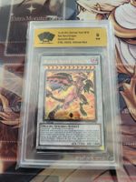 Roter Nova-Drache SGS 8