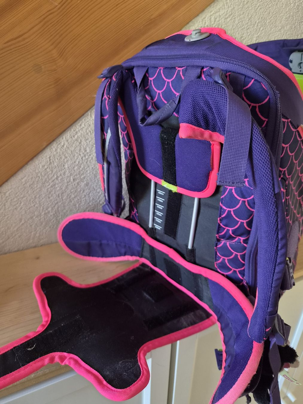 Ergobag Borse & Zaini: Ergobag Schulrucksack mit Turnsack – Usato da Aarau venduto da bikestones 7