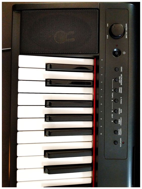 Yamaha Piaggero NP11 Kaufen auf Ricardo