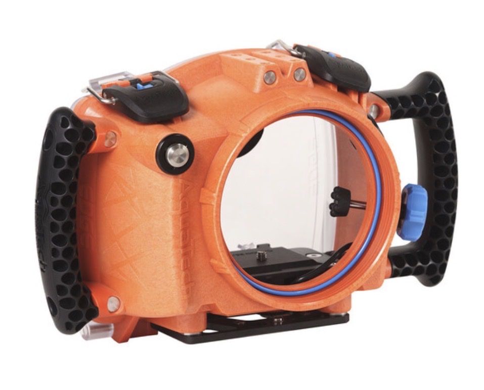 Lampade & Macchine fotografiche: AquaTech Edge Base Underwater for Canon R5  + Dome – Usato da Felsberg venduto da michaela_773