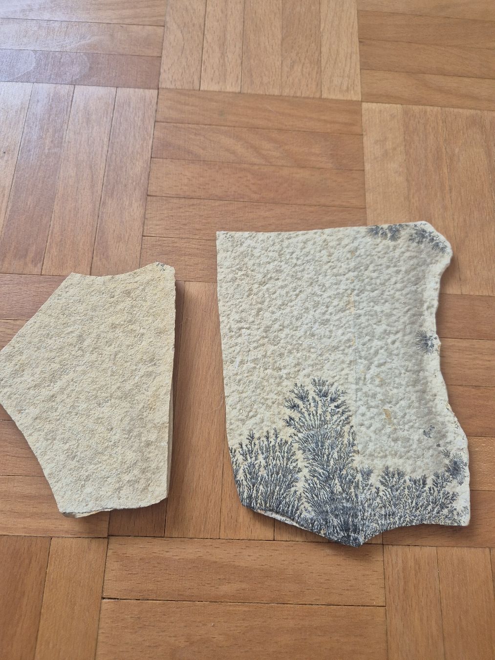 Fossiles: Fossil Dendriten Platten – D'occasion à Erlenbach ZH par Marielou222 1