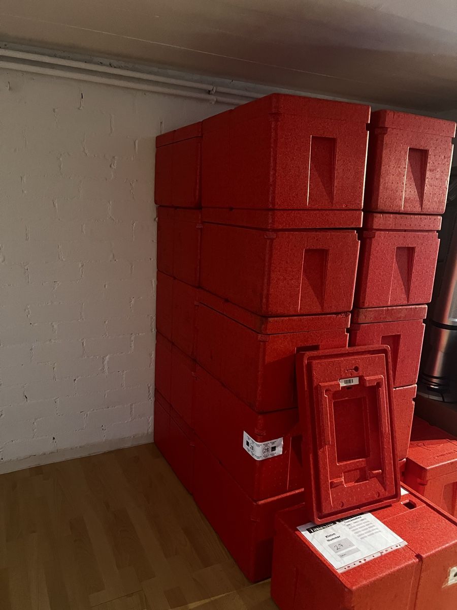 Frigoriferi & Refrigeratori: Rote Thermoboxen / Isolierboxen – Usato da Madiswil venduto da SWISS_49.B 2