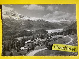 Ob Suvretta mit Blick ins Oberengadin