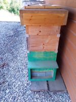 Bienenkasten Bienenbeute CH Norm