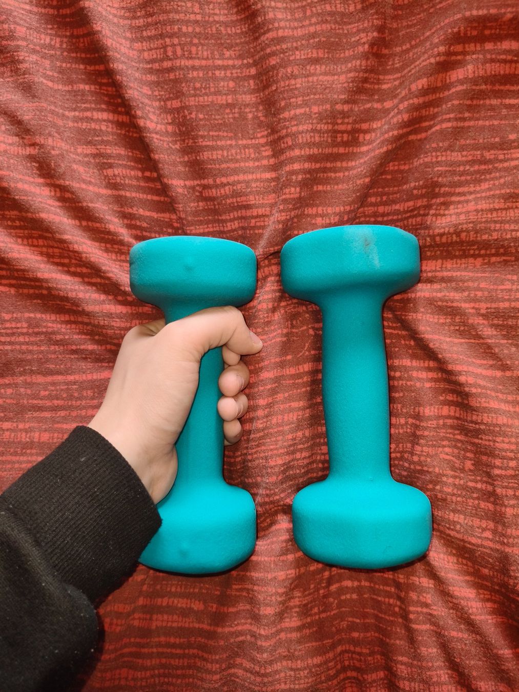 Manubri & Pesi: 2 haltères 2kg bleus – Usato da Couvet venduto da lyd_7cnq 1