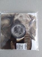 THE BIG 5 ELEPHANT 2021