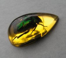 ♥ ROSENKÄFER IN KUNSTHARZ / CABOCHON - ZUM SELBER GESTALTEN
