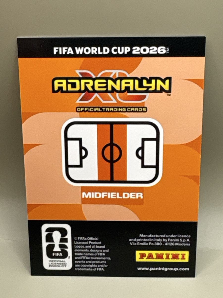 Panini Carte collezionabili: Panini Adrenalyn XL - 402 – Nuovo (secondo la descrizione) da Oberbuchsiten venduto da Bananefrappe93 1