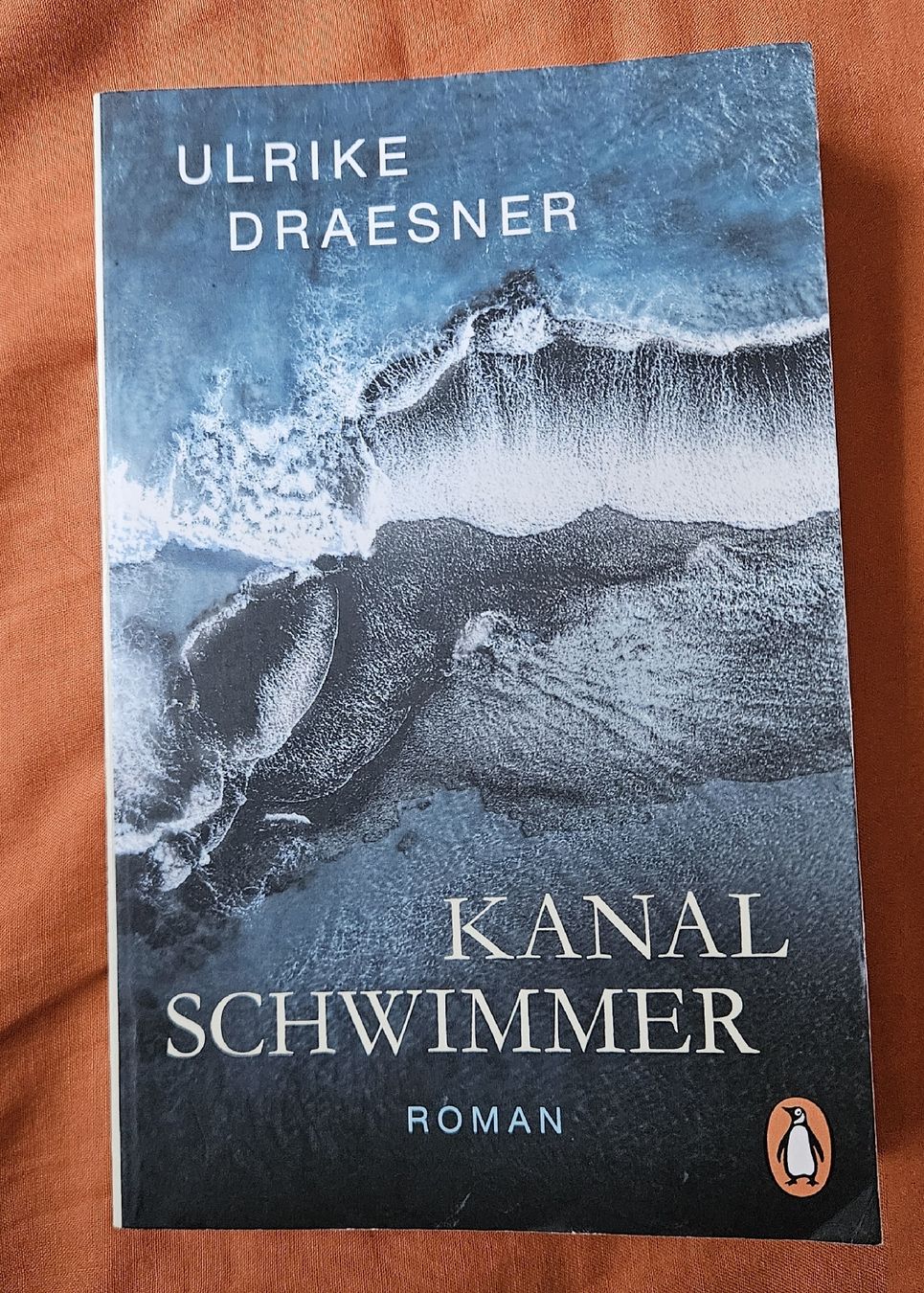 Libri: Kanalschimmer - Ulrike Draesner – Usato da Bern venduto da Snowflake38