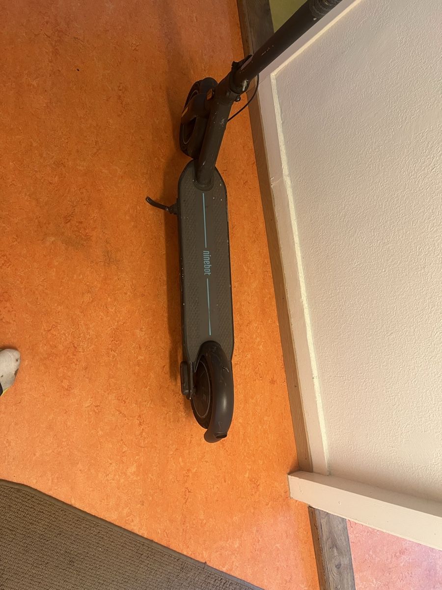 Scooters: Ninebot – Gebraucht aus Zürich von sam_phw9 1