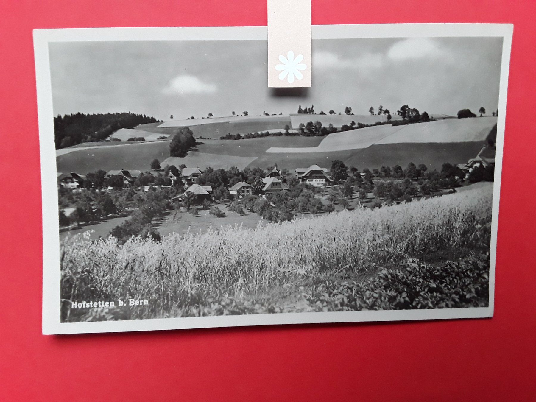 Cartoline postali: AK - HOFSTETTEN B. BERN – Usato da Bilten venduto da konrad7321