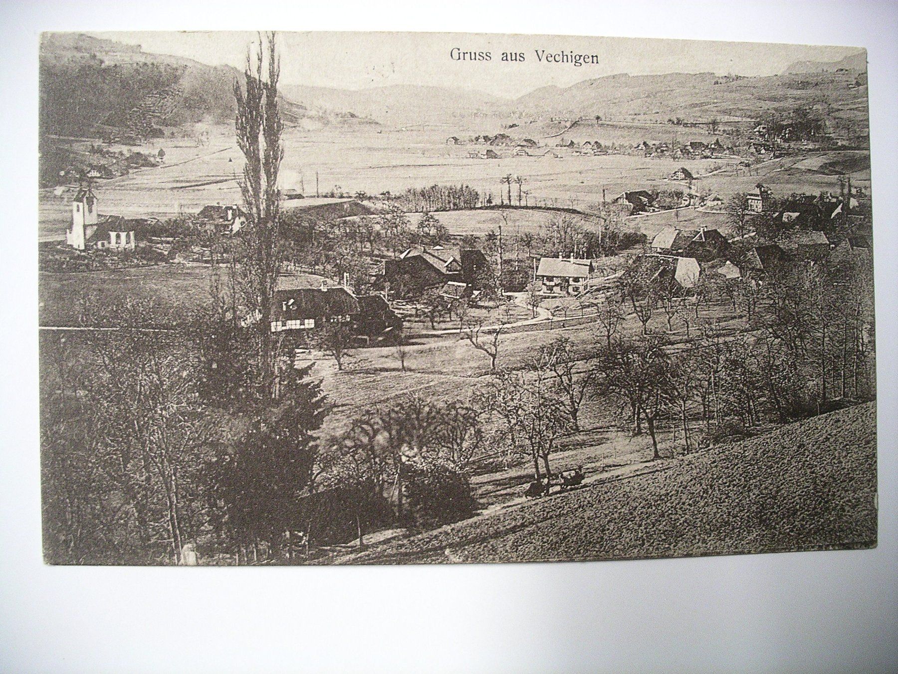 Cartoline postali: s/wAK  VECHIGEN – Usato da Oberhofen am Thunersee venduto da luuping99