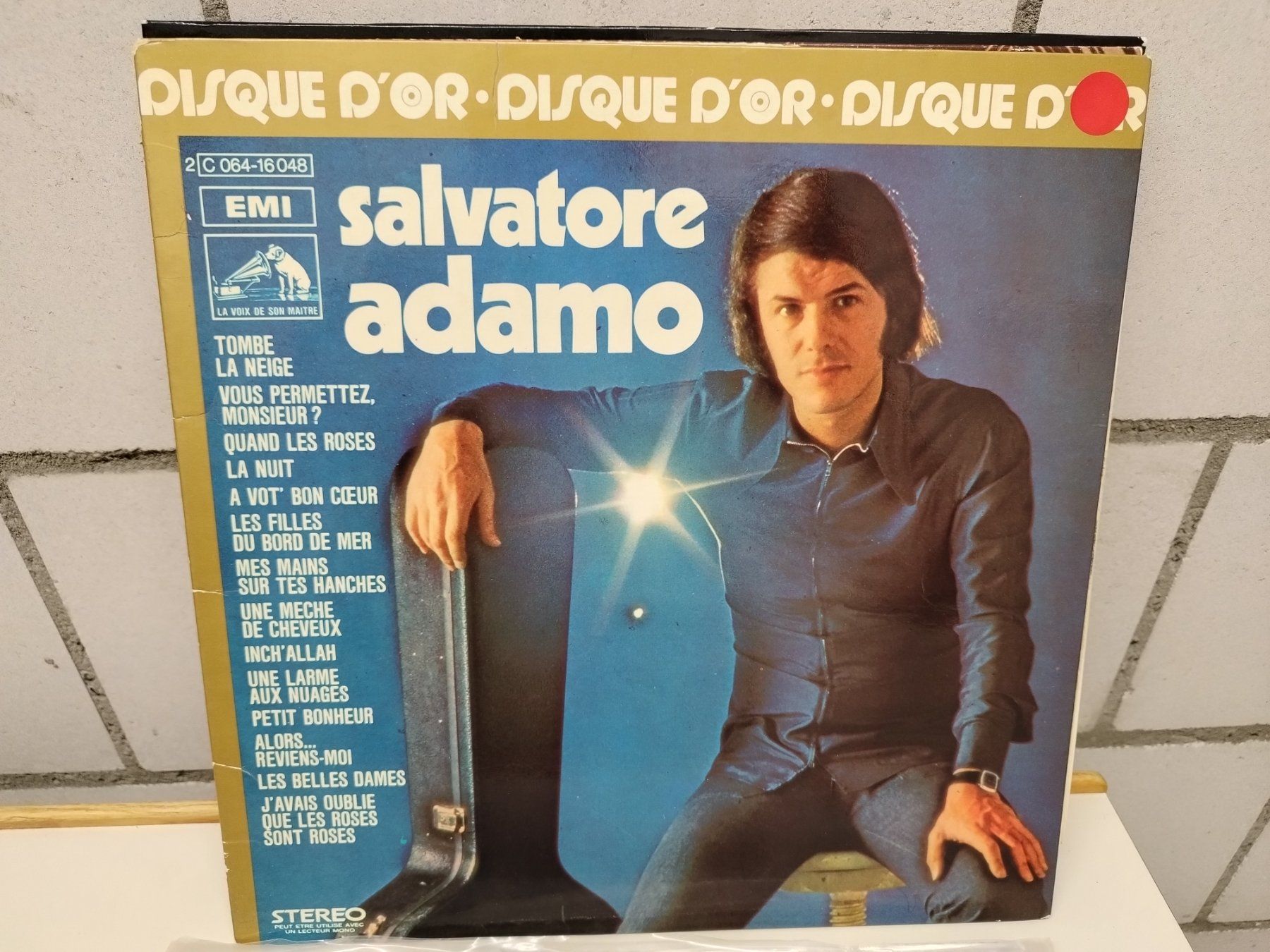 Dischi in vinile: LP. Ab Fr 1.--  Titel  siehe Foto – Usato da Lupfig venduto da fred-feuerstein