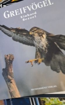 Libri: Greifvögel - Ein Bildband von Einhard Bezzel – Usato da Zürich venduto da Schoebi19 1
