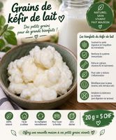 Grains de kéfir de lait 20g culture vivante naturelle