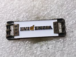 Ansteckpin 48: Evi Enzia