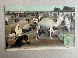 🟡antik Postkarte gelaufen 1908 Briefmarke TUNESIEN SFAX