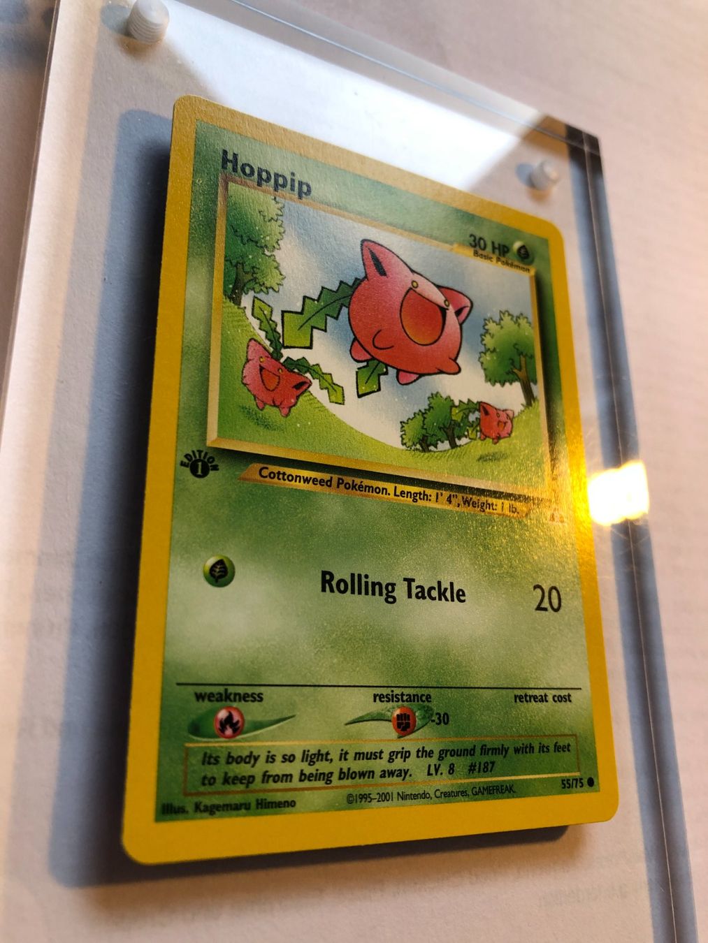 Sammelbilder & Trading cards: Hoppip 1st Neo Discovery - MINT - ab 1.- – Gebraucht aus Giubiasco von dan_pr8b 1